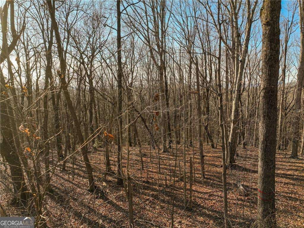 residential lot for sale at LOT 4 Mount Mincie Road, Murrayville, GA 30564 — photo 7