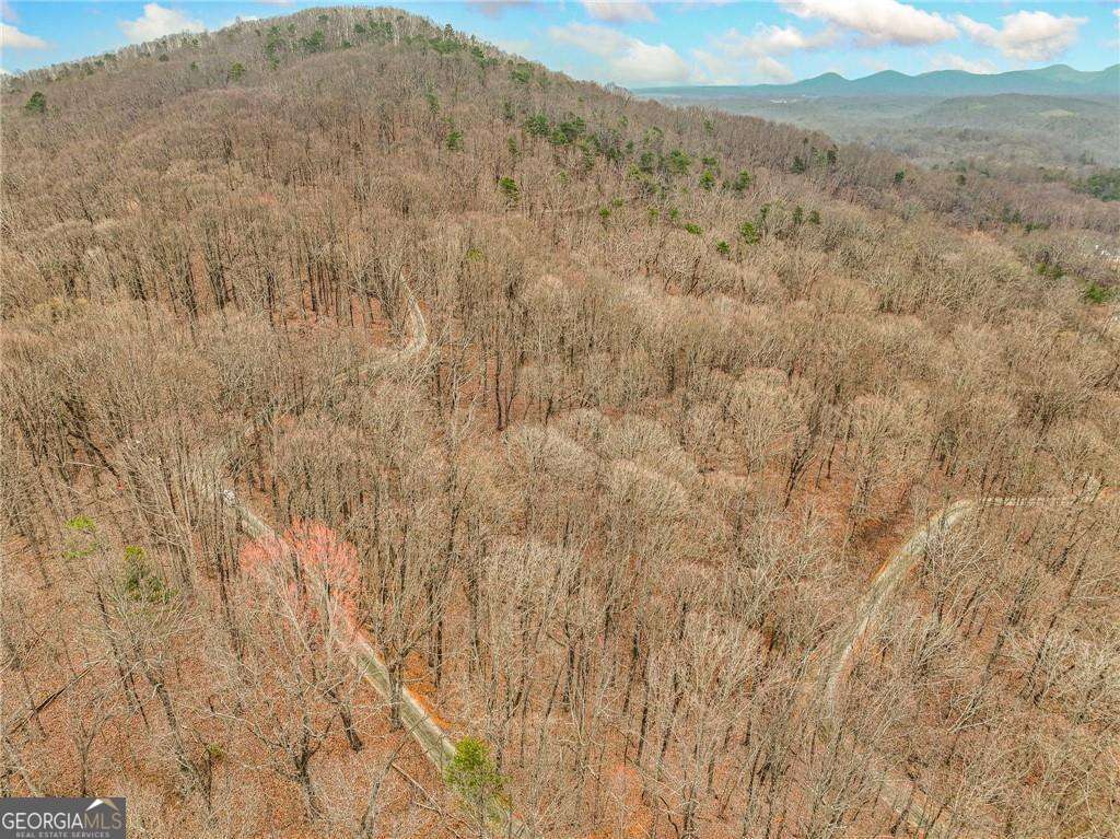 residential lot for sale at LOT 4 Mount Mincie Road, Murrayville, GA 30564 — photo 5