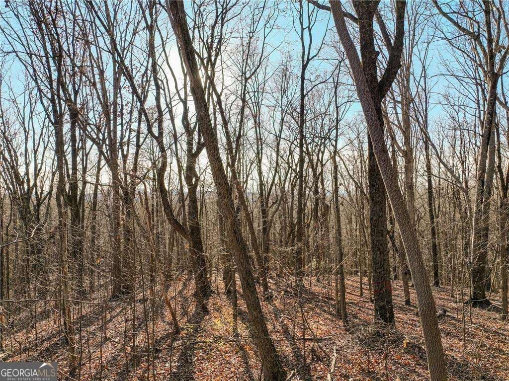 residential lot for sale at LOT 4 Mount Mincie Road, Murrayville, GA 30564 — photo 9