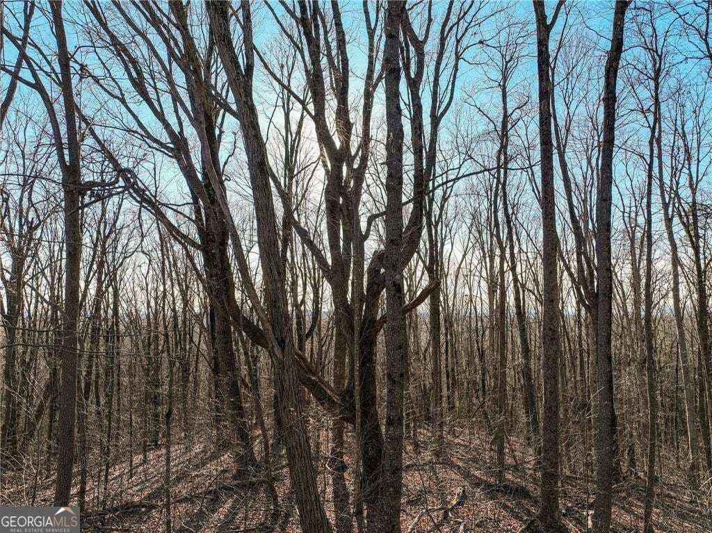 residential lot for sale at LOT 4 Mount Mincie Road, Murrayville, GA 30564 — photo 10