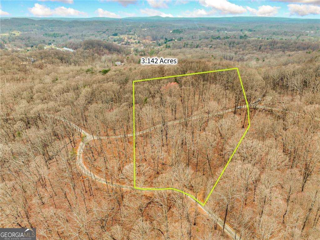 residential lot for sale at LOT 4 Mount Mincie Road, Murrayville, GA 30564 — photo 4