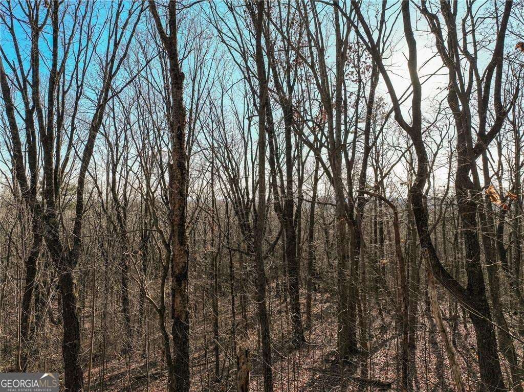 residential lot for sale at LOT 4 Mount Mincie Road, Murrayville, GA 30564 — photo 8