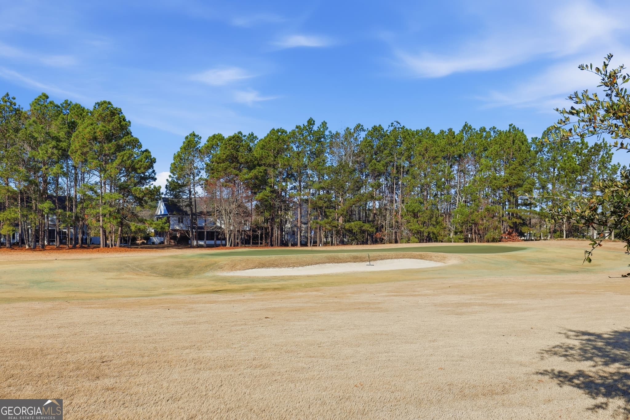 4 bedroom, 3.5 bathroom, 2,530 sq ft single family residence for sale at 141 Mallory Place, Pooler, GA 31322 — photo 6