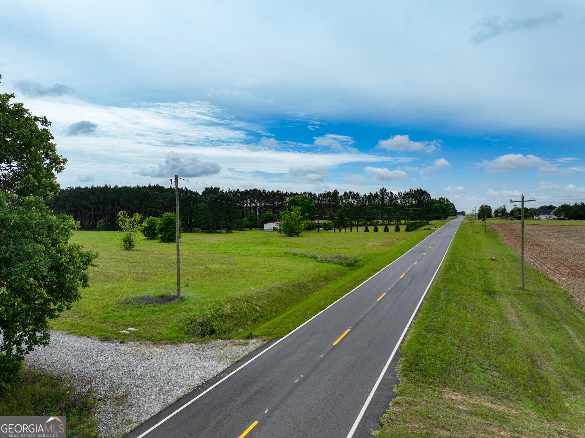 agriculture under contract at 759 Pitts Road, Hawkinsville, GA 31036 — photo 2