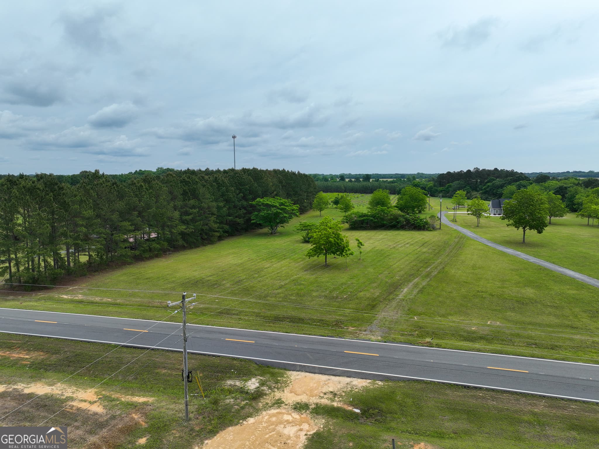 agriculture under contract at 759 Pitts Road, Hawkinsville, GA 31036 — photo 6