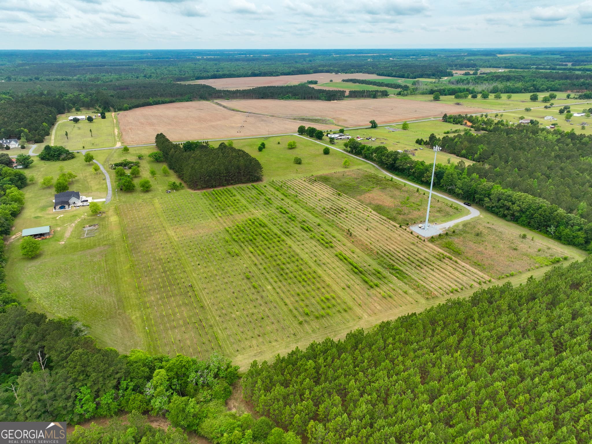 agriculture under contract at 759 Pitts Road, Hawkinsville, GA 31036 — photo 7
