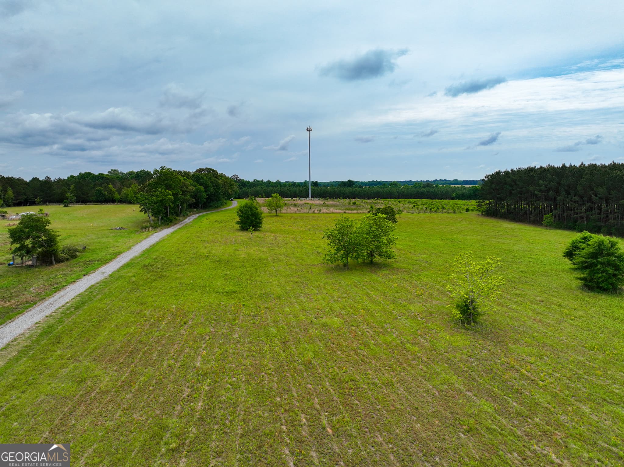 agriculture under contract at 759 Pitts Road, Hawkinsville, GA 31036 — photo 3