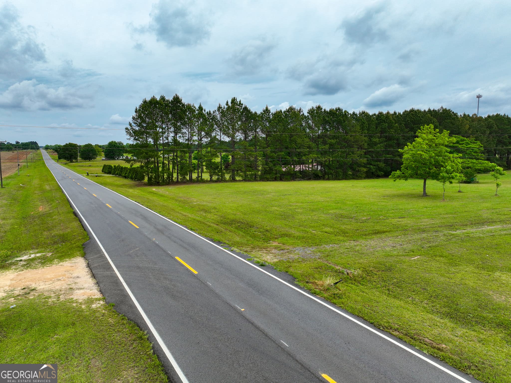 agriculture under contract at 759 Pitts Road, Hawkinsville, GA 31036 — photo 5