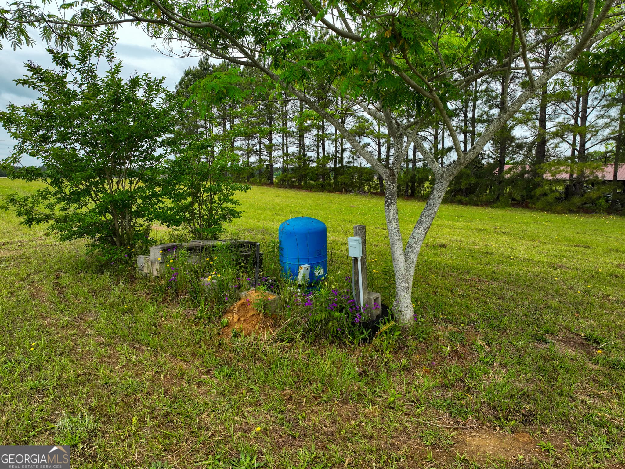 agriculture under contract at 759 Pitts Road, Hawkinsville, GA 31036 — photo 10