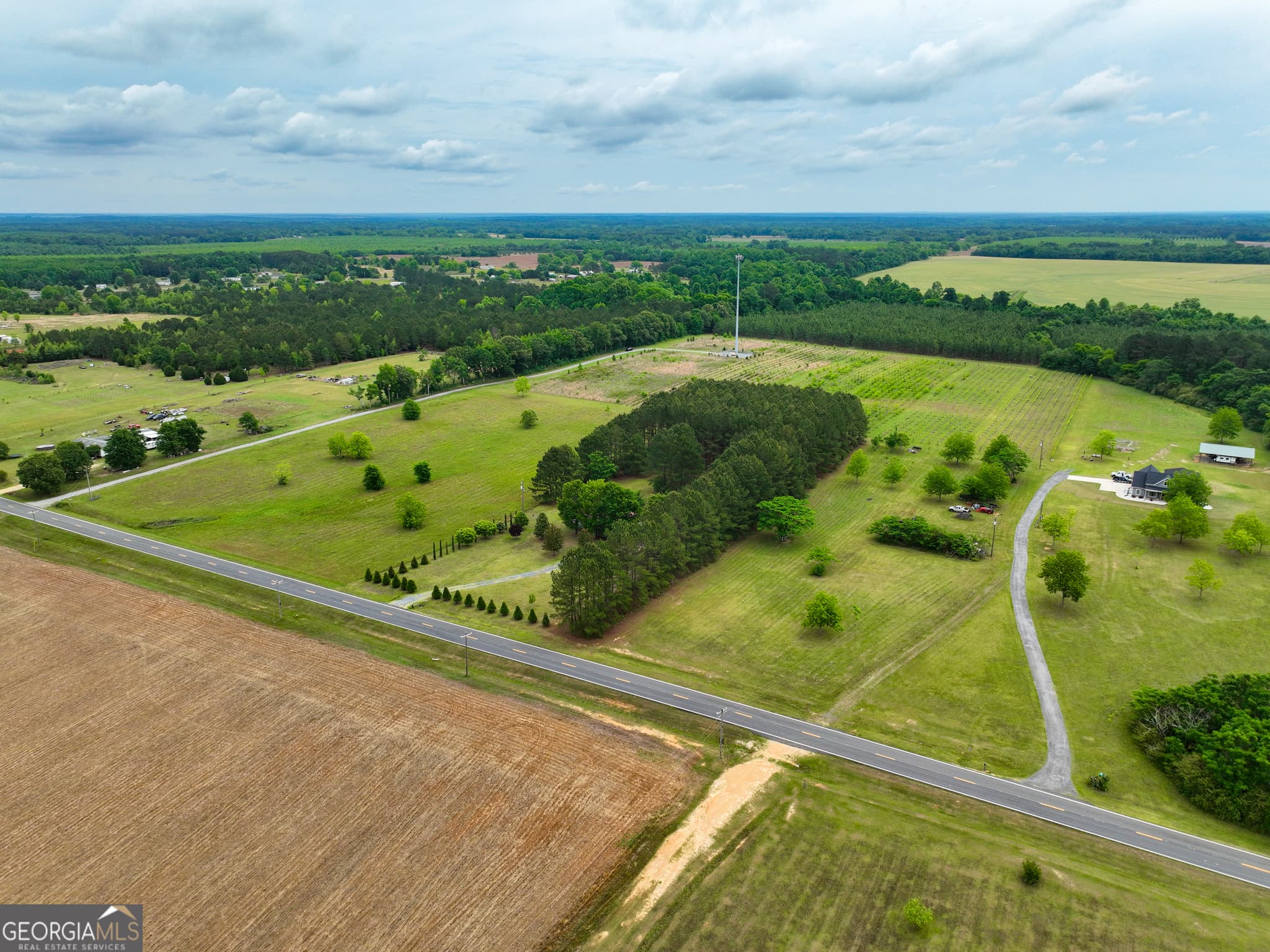 agriculture under contract at 759 Pitts Road, Hawkinsville, GA 31036 — photo 4