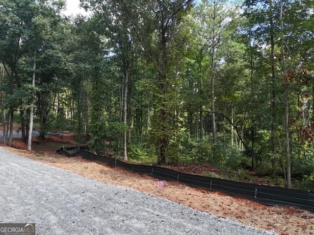 agriculture for sale at 354 Sanford Oak Court TRACT 10, Nicholson, GA 30565 — photo 2