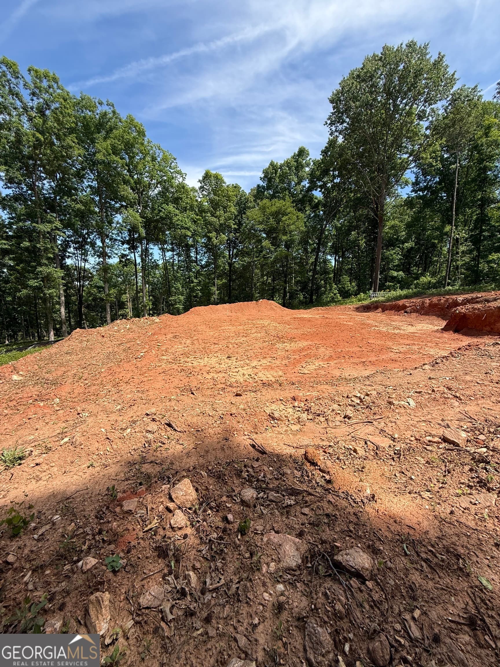 agriculture for sale at 354 Sanford Oak Court TRACT 10, Nicholson, GA 30565 — photo 6