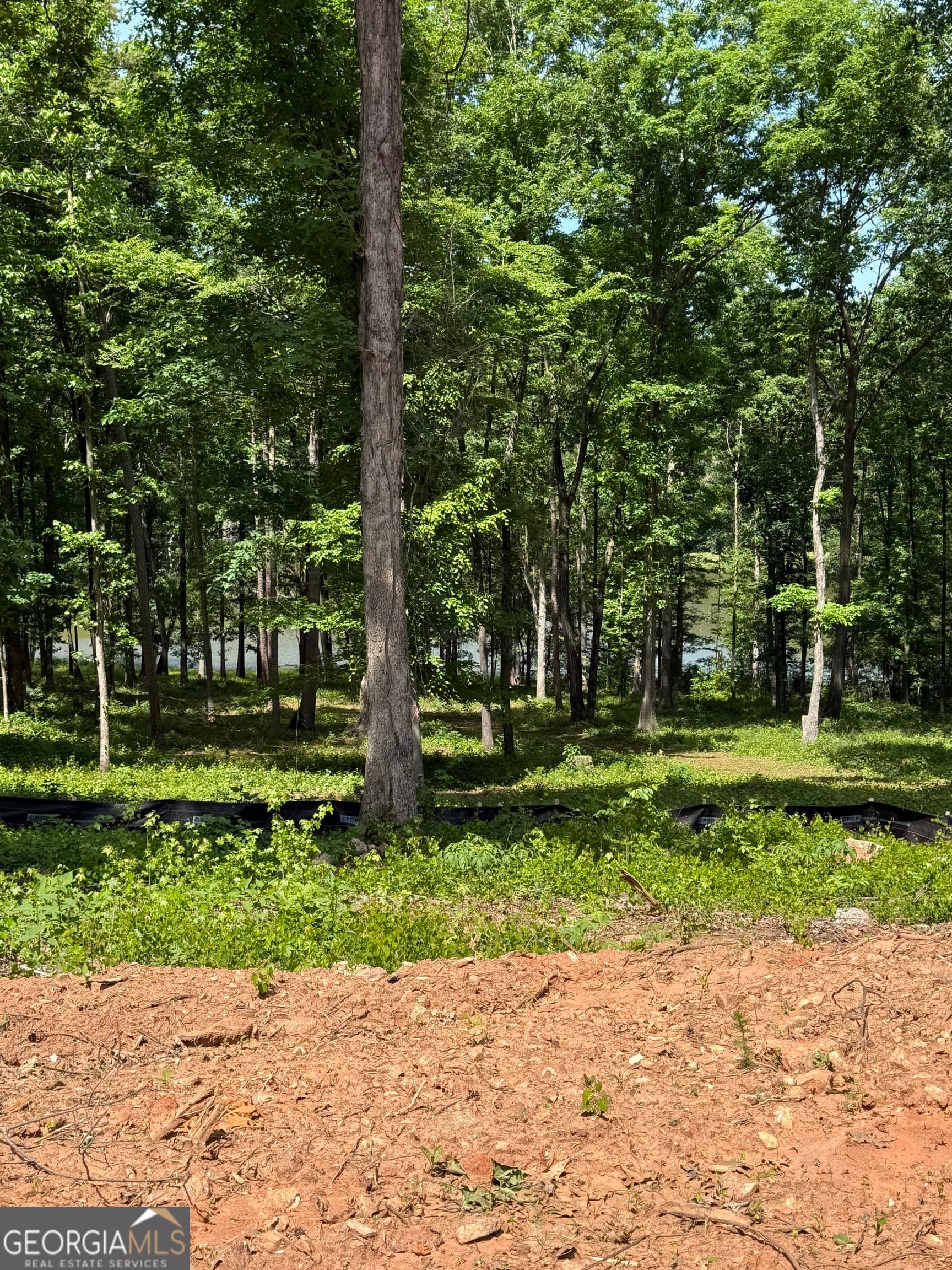 agriculture for sale at 354 Sanford Oak Court TRACT 10, Nicholson, GA 30565 — photo 9