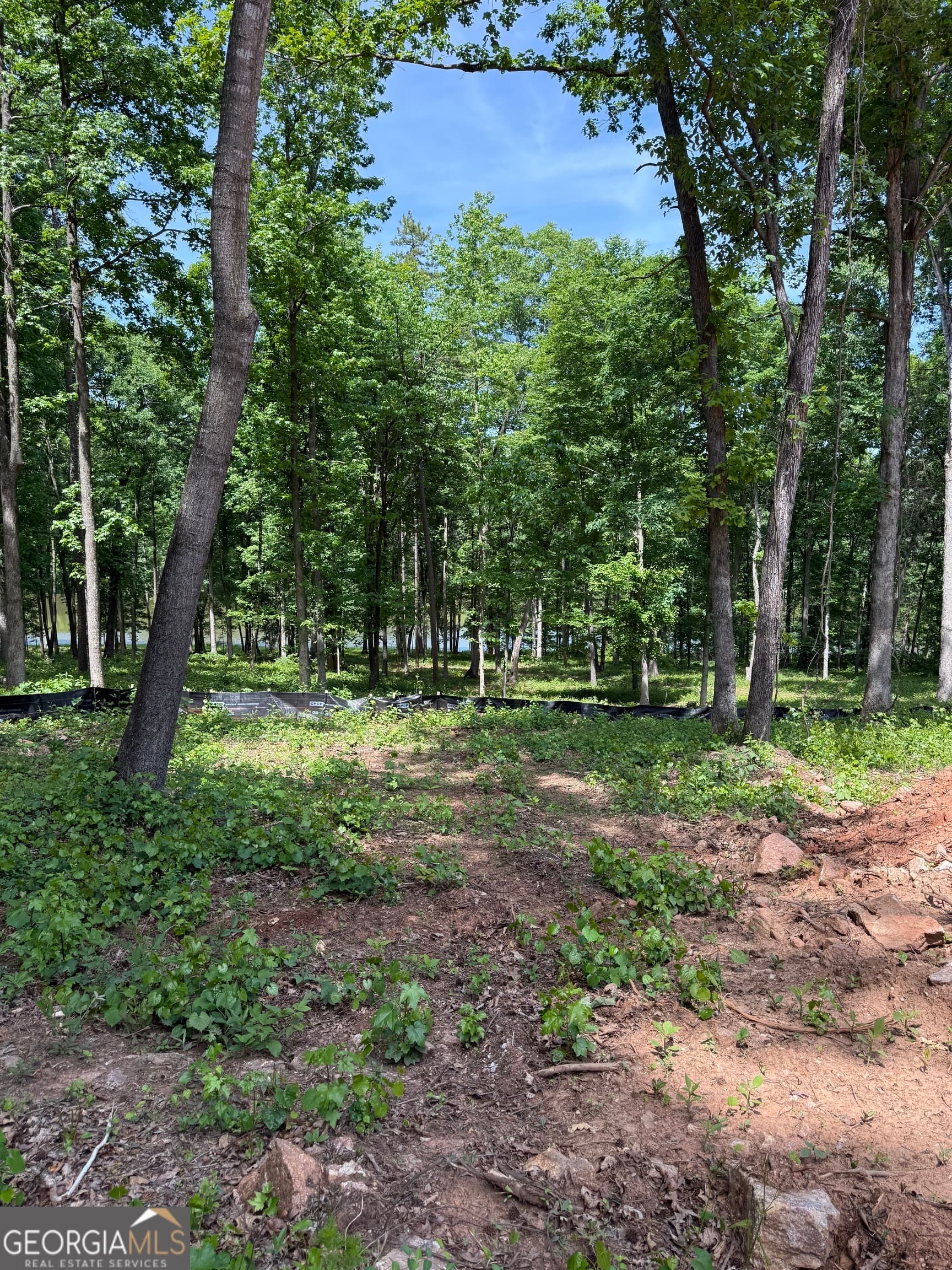 agriculture for sale at 354 Sanford Oak Court TRACT 10, Nicholson, GA 30565 — photo 10