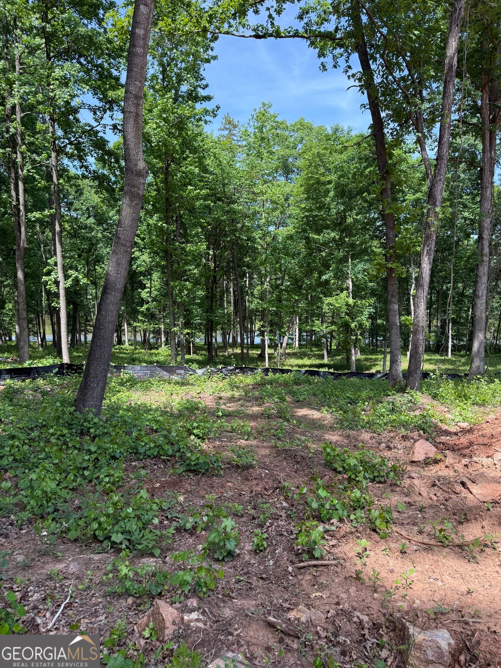 agriculture for sale at 354 Sanford Oak Court TRACT 10, Nicholson, GA 30565 — photo 8