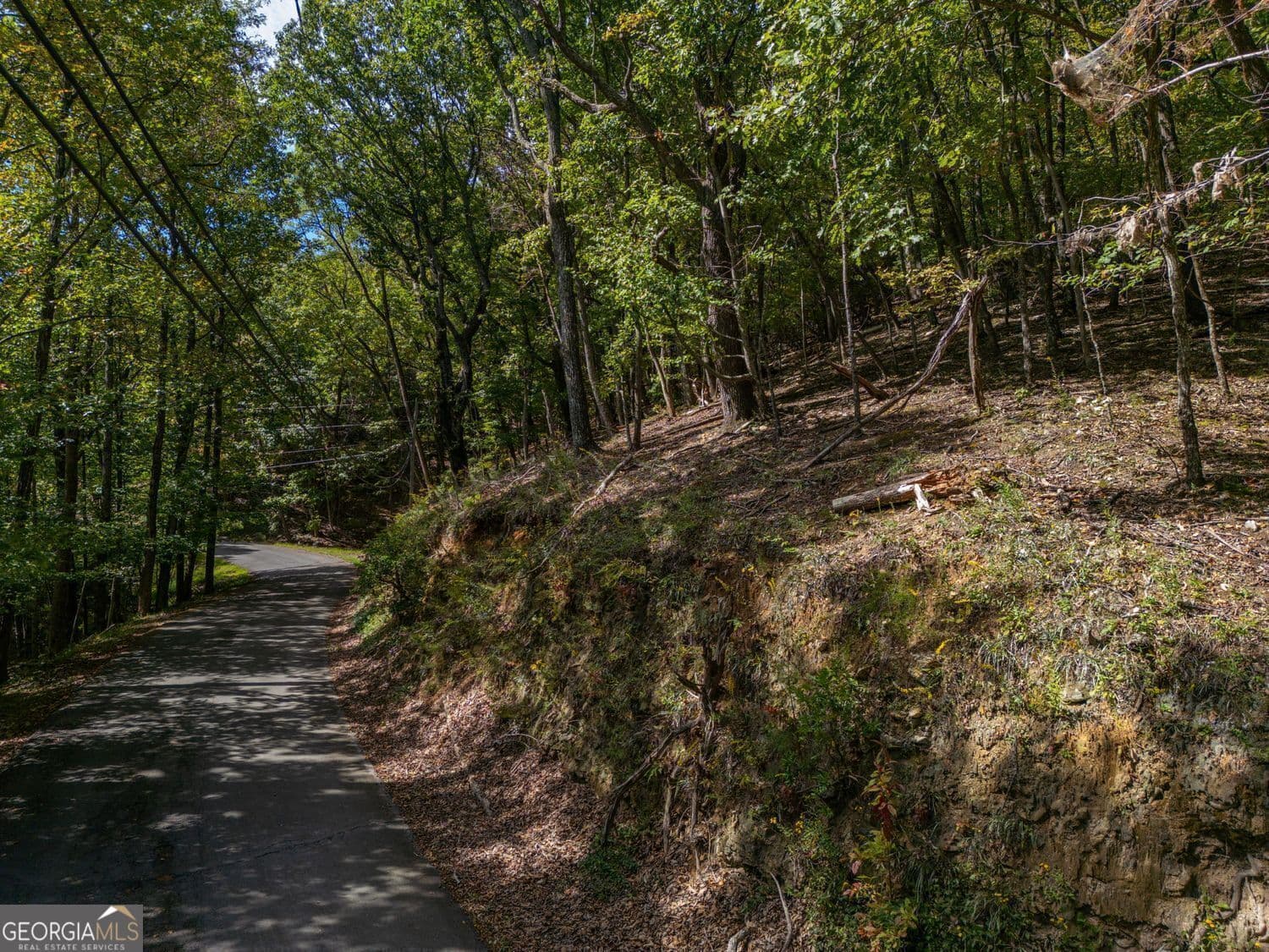 residential lot for sale at 0 Denny Ridge Road, Jasper, GA 30143 — photo 2