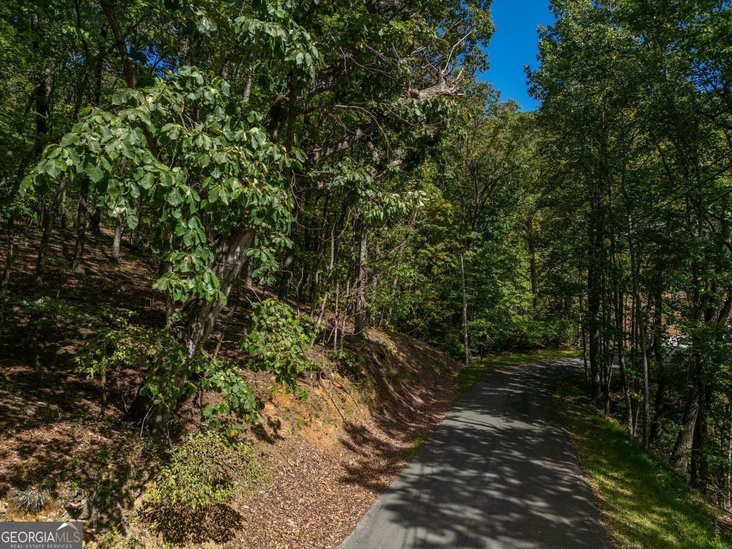 residential lot for sale at 0 Denny Ridge Road, Jasper, GA 30143 — photo 3