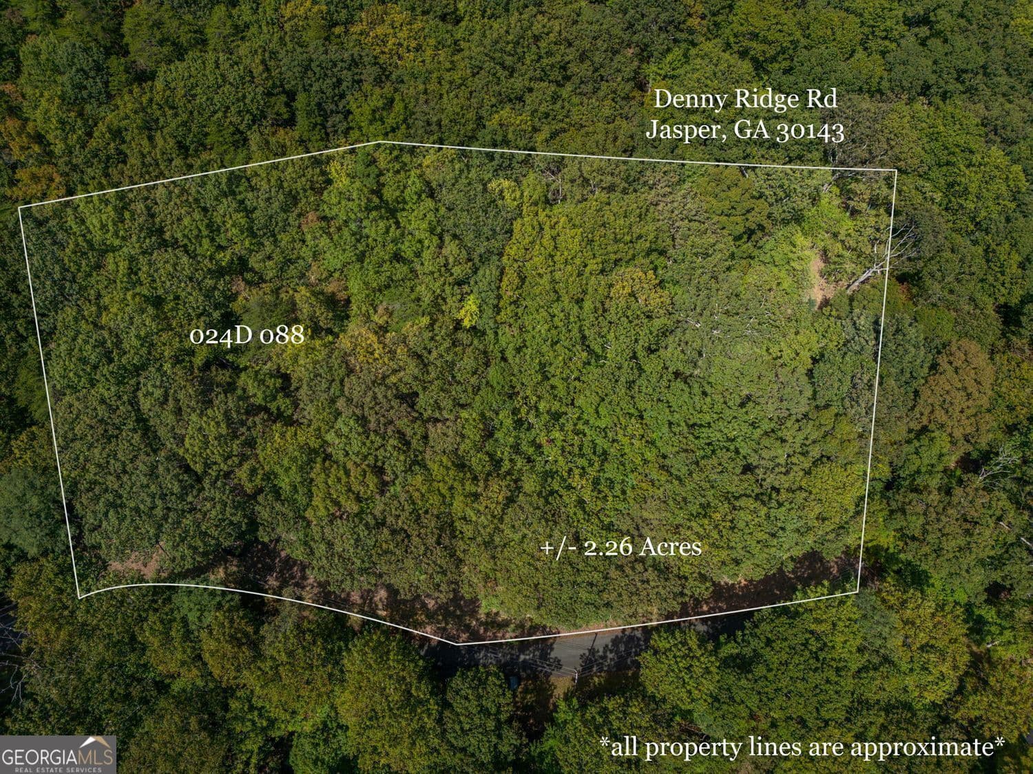 residential lot for sale at 0 Denny Ridge Road, Jasper, GA 30143 — photo 1 of 19