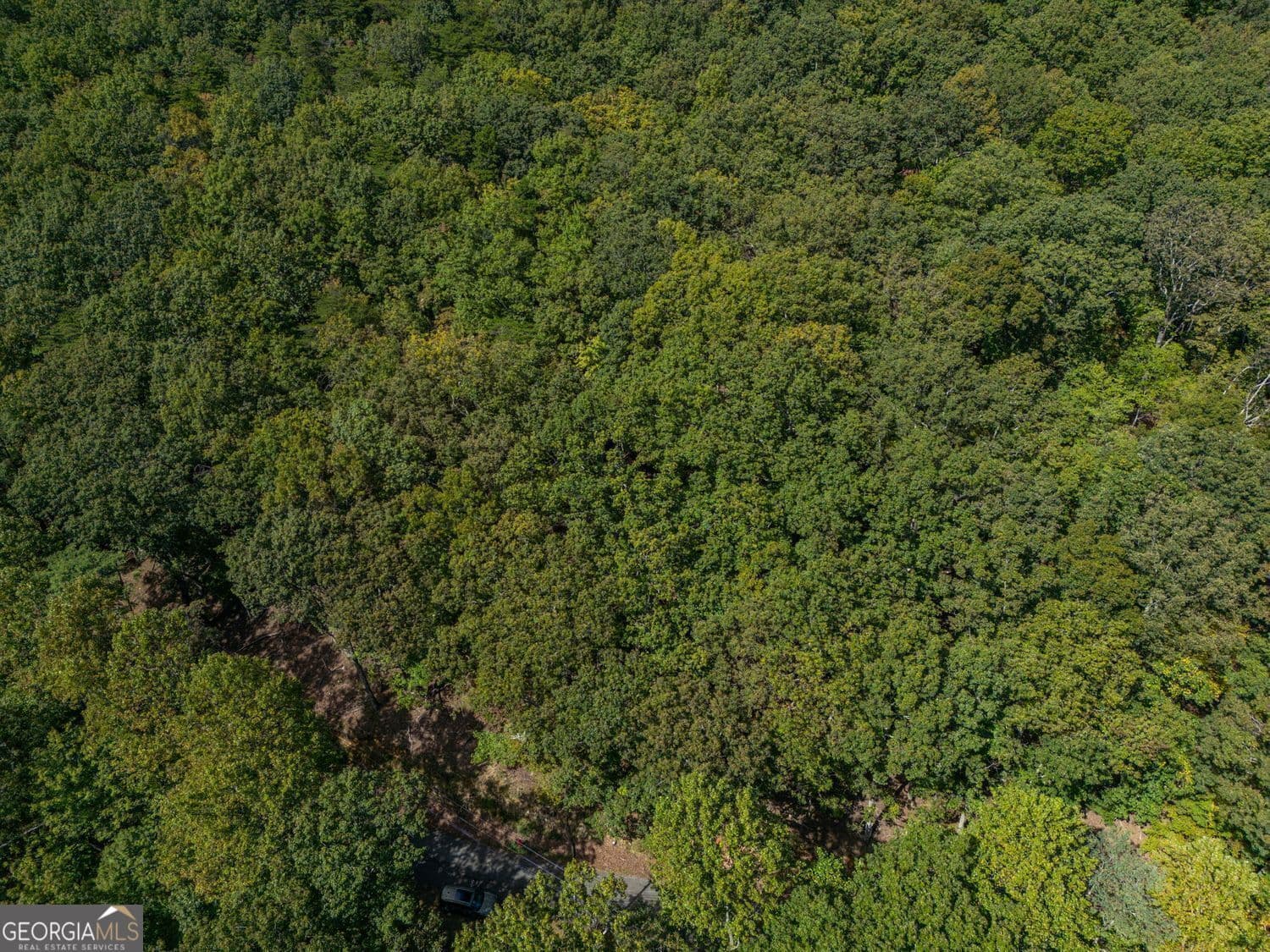 residential lot for sale at 0 Denny Ridge Road, Jasper, GA 30143 — photo 5
