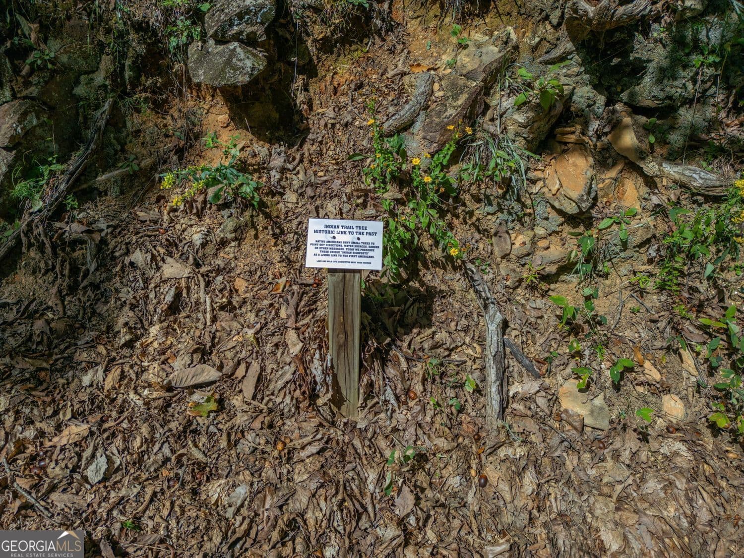 residential lot for sale at 0 Denny Ridge Road, Jasper, GA 30143 — photo 10