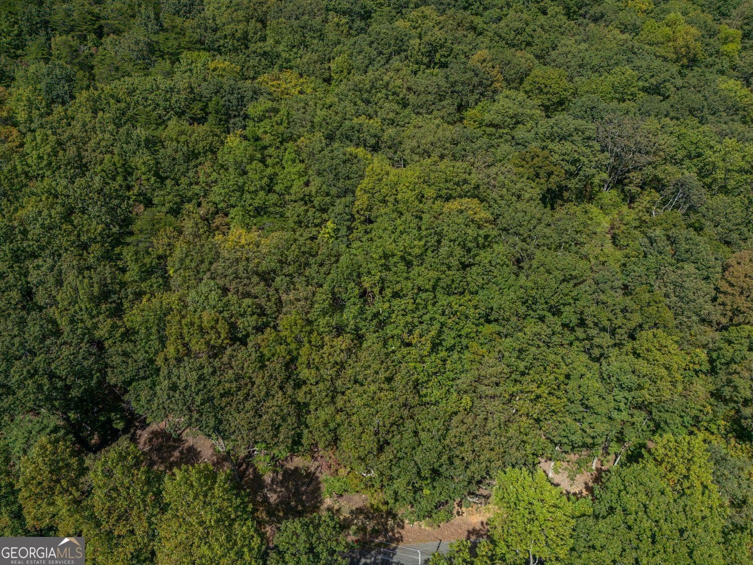 residential lot for sale at 0 Denny Ridge Road, Jasper, GA 30143 — photo 4