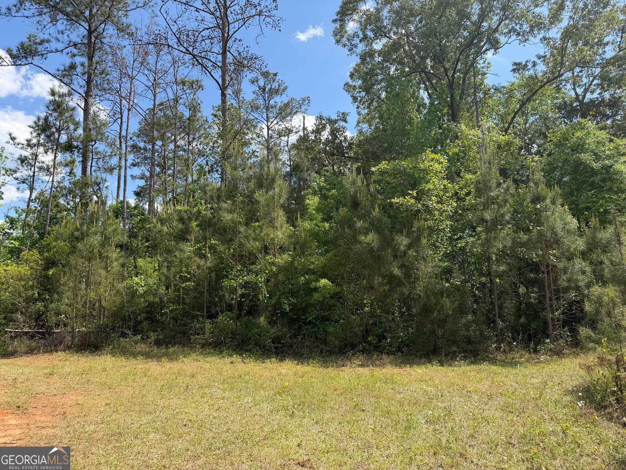 agriculture for sale at 001 George Milling Road, Cuthbert, GA 39840 — photo 7