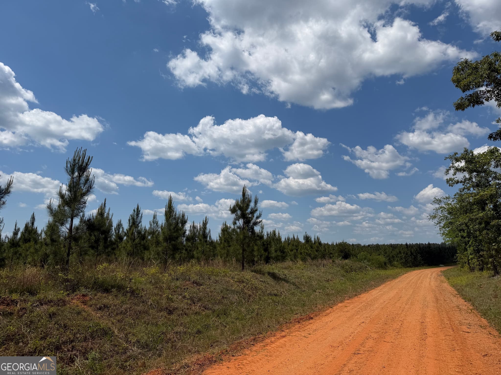agriculture for sale at 001 George Milling Road, Cuthbert, GA 39840 — photo 4