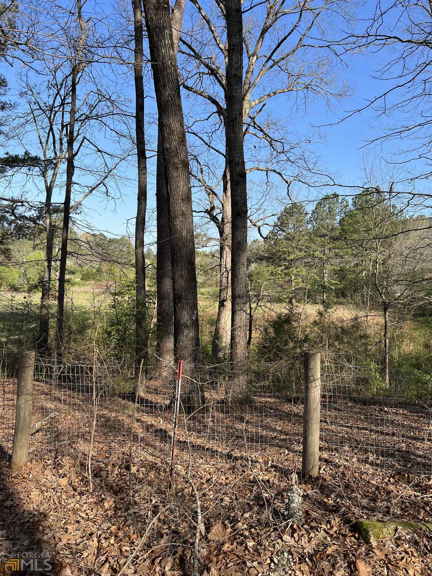 agriculture for sale at 0 Old Highway 138 TRACT 1, Oxford, GA 30054 — photo 2