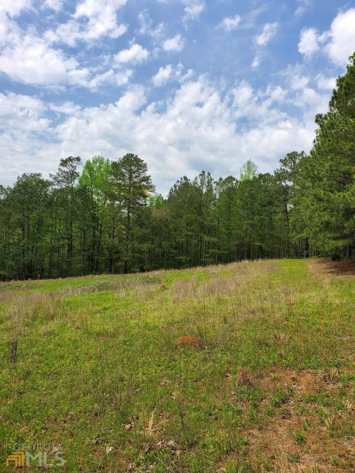 agriculture for sale at 0 Old Highway 138 TRACT 1, Oxford, GA 30054 — photo 6