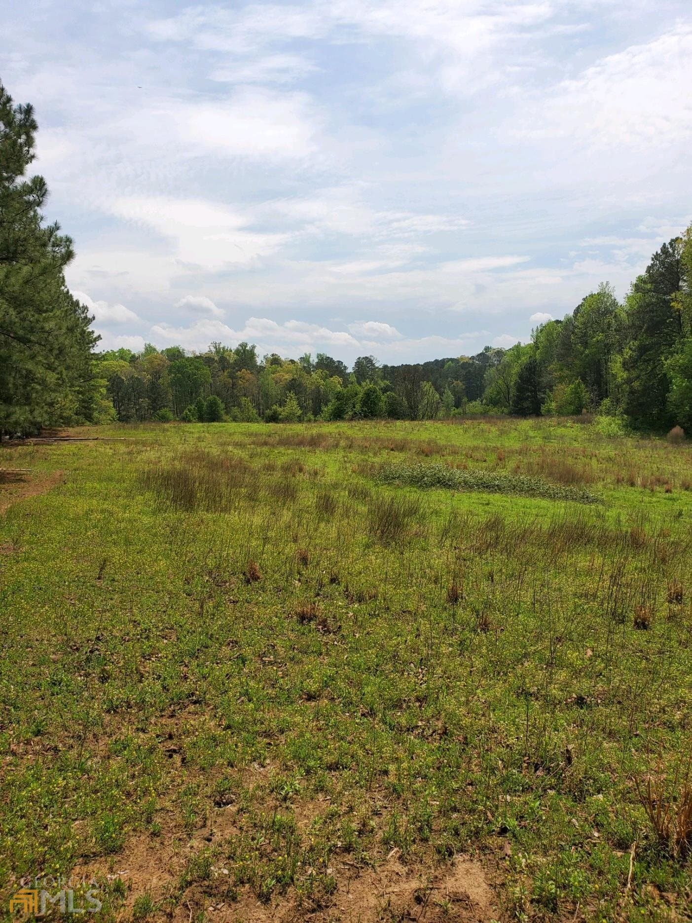 agriculture for sale at 0 Old Highway 138 TRACT 1, Oxford, GA 30054