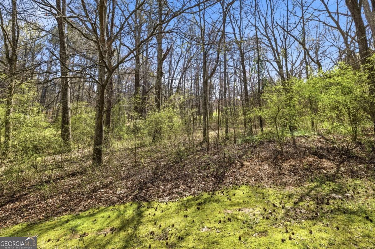 estate lot for sale at 3293 Braselton Highway, Dacula, GA 30019 — photo 9