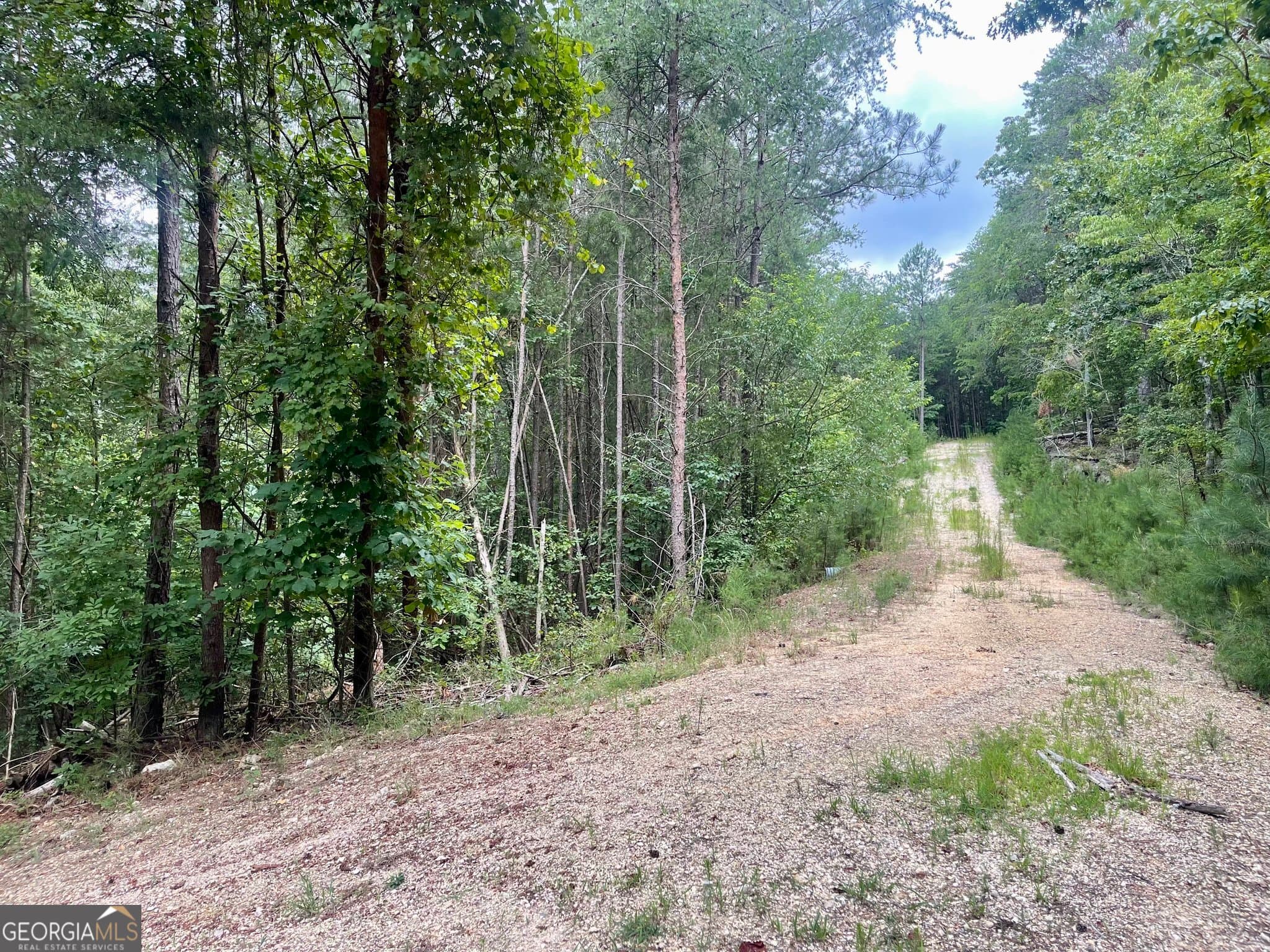 unimproved land for sale at 0 White Oak Road, Summerville, GA 30747 — photo 2
