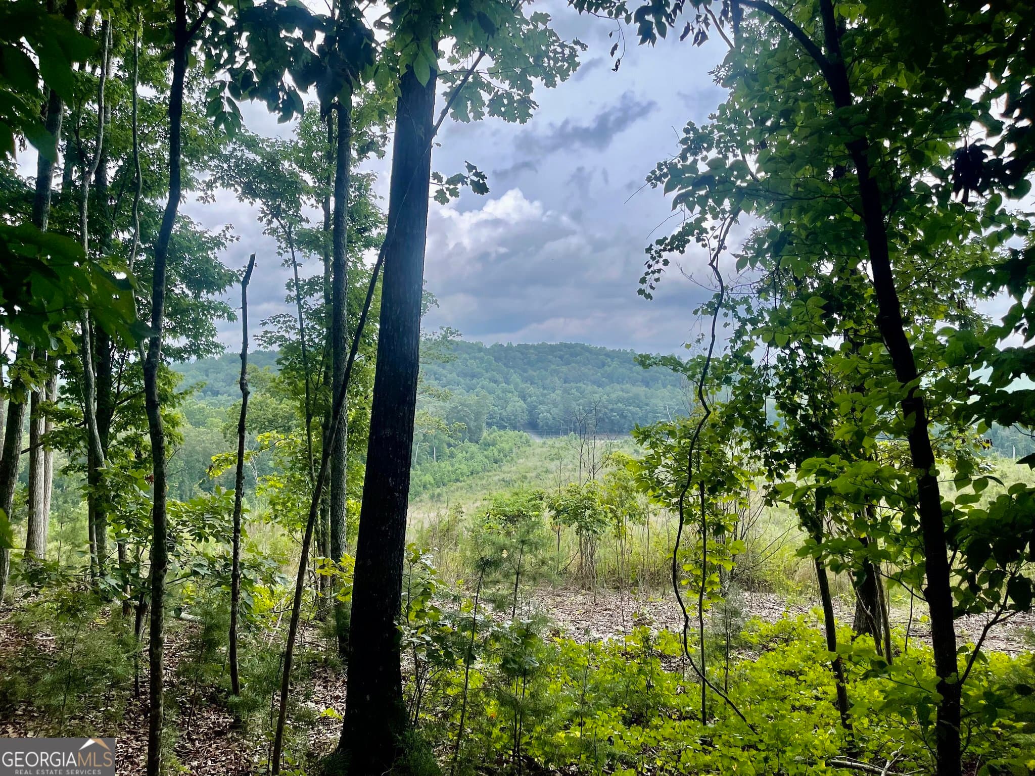 unimproved land for sale at 0 White Oak Road, Summerville, GA 30747 — photo 1 of 3