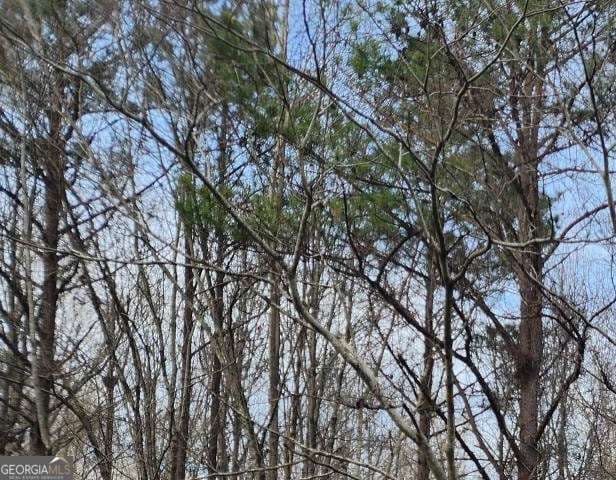 residential lot for sale at 0 U S Highway 80, Knoxville, GA 31050 — photo 2
