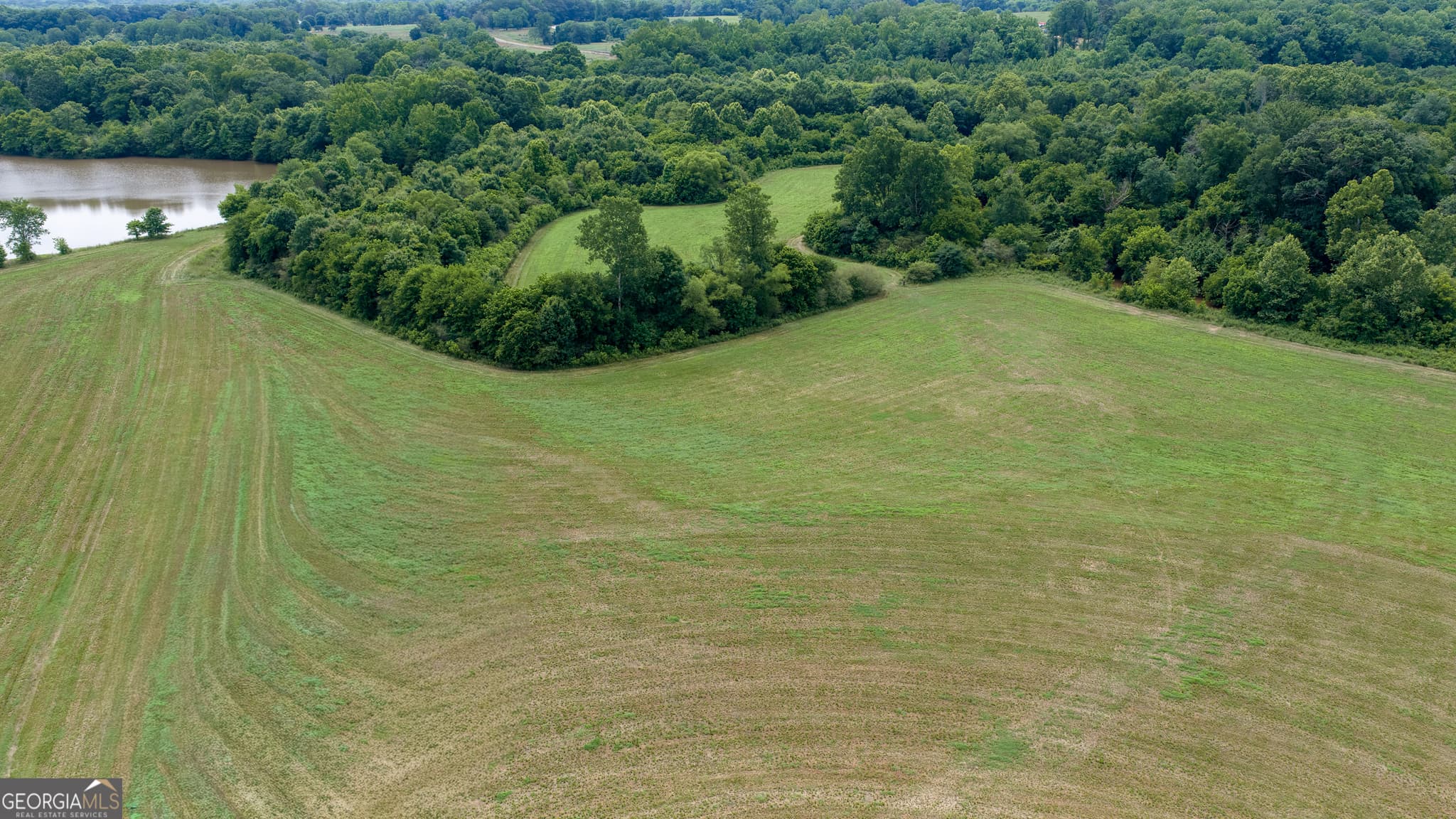 agriculture for sale at 0 Ebenezer Church Road, Winder, GA 30680 — photo 7