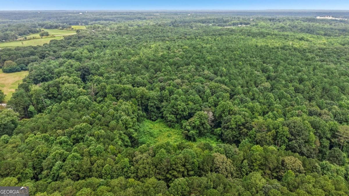 residential lot for sale at 0 Bill Rutledge Road, Winder, GA 30680 — photo 9