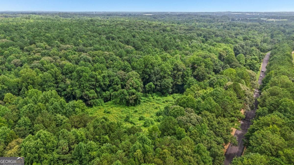 residential lot for sale at 0 Bill Rutledge Road, Winder, GA 30680 — photo 10