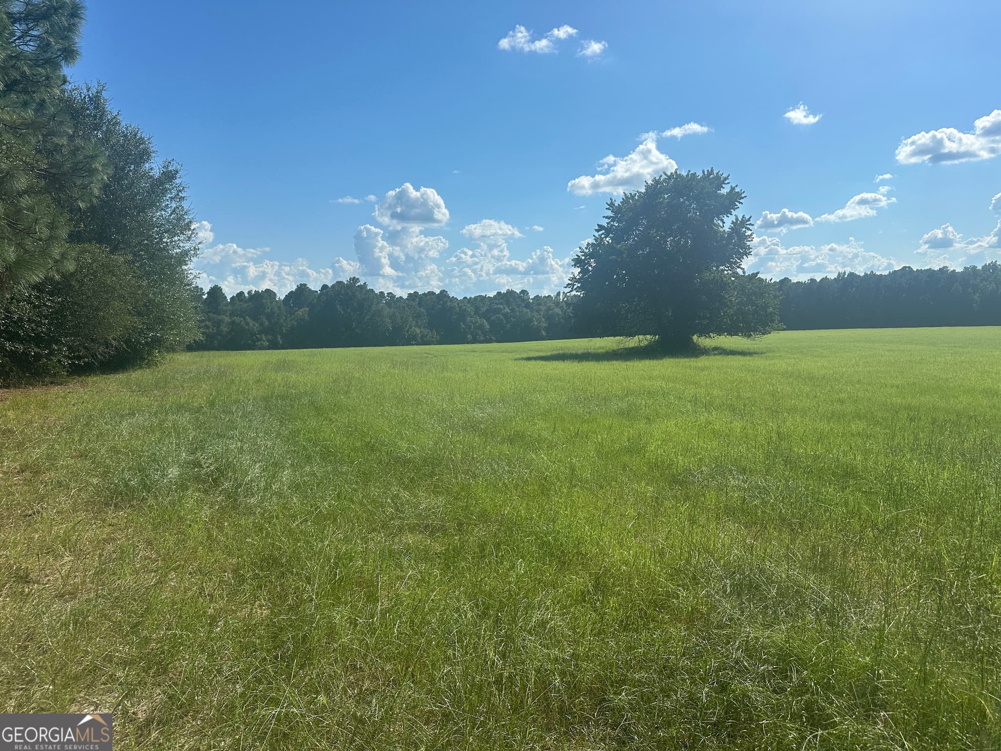 agriculture sold at 1561 Waynesboro Highway, Sylvania, GA 30467