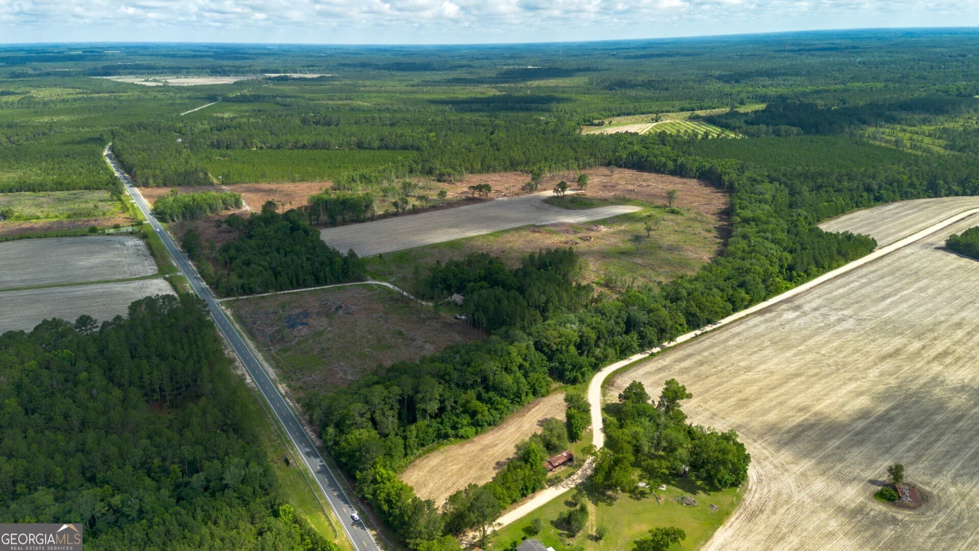 agriculture for sale at 575 Hwy 67, Pembroke, GA 31321 — photo 2