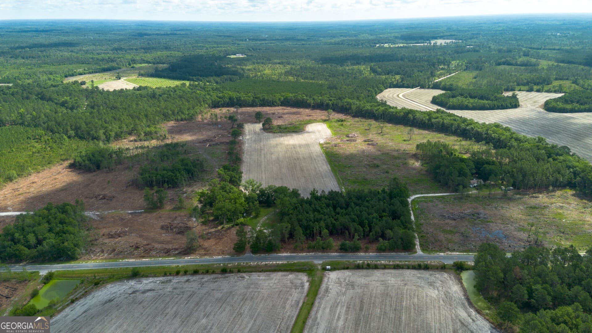 agriculture for sale at 575 Hwy 67, Pembroke, GA 31321 — photo 3