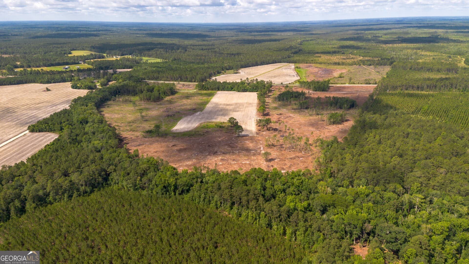 agriculture for sale at 575 Hwy 67, Pembroke, GA 31321