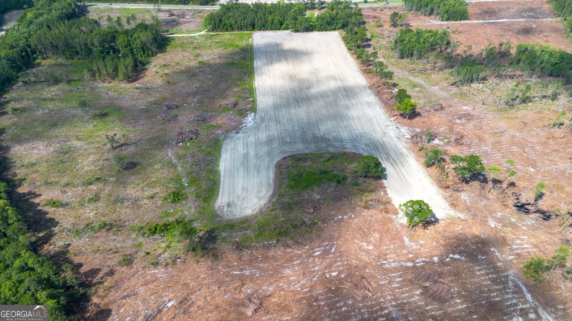 agriculture for sale at 575 Hwy 67, Pembroke, GA 31321 — photo 4