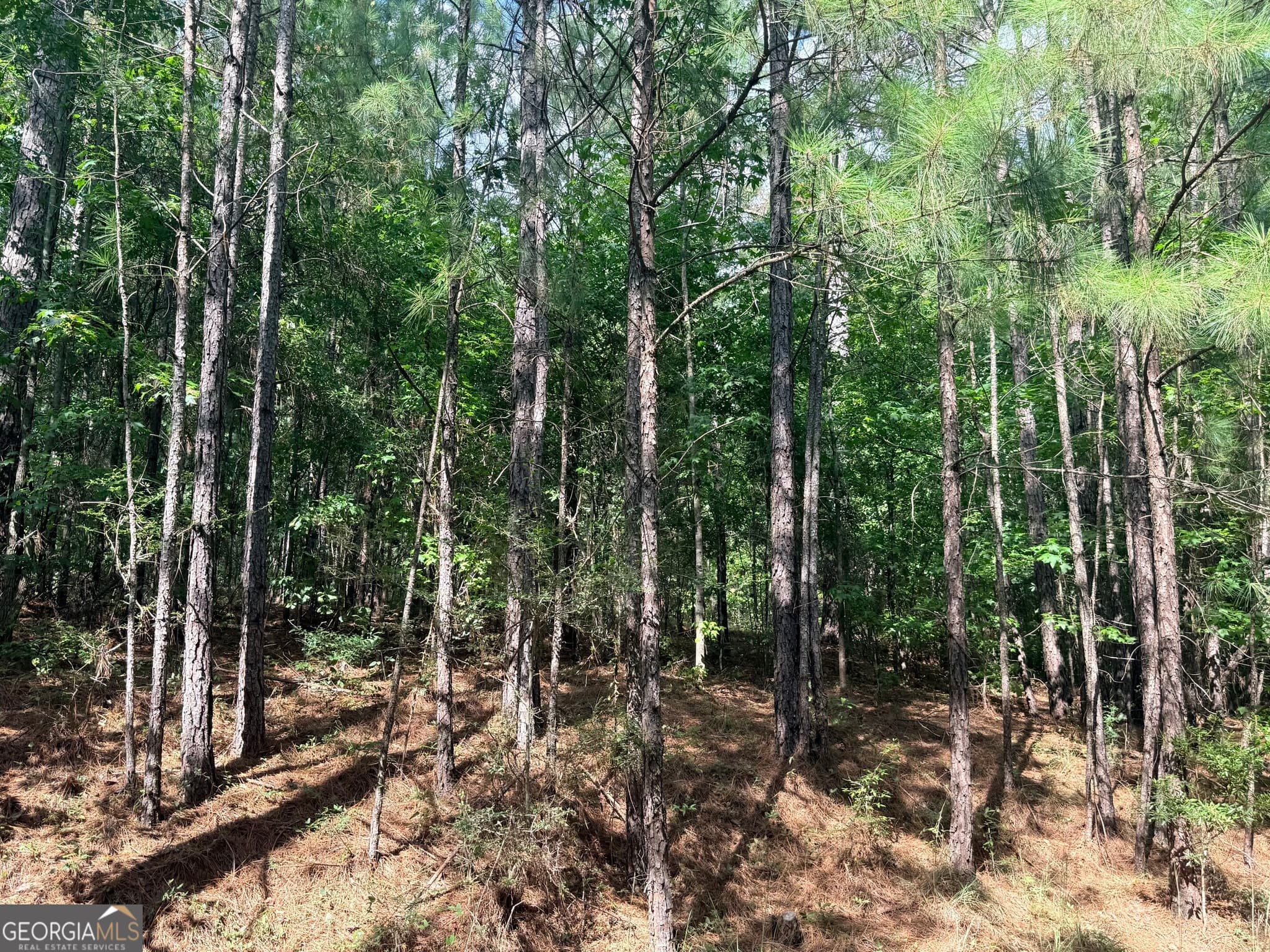 residential lot for sale at 7.725 AC Slalom Pass, Forsyth, GA 31029 — photo 9