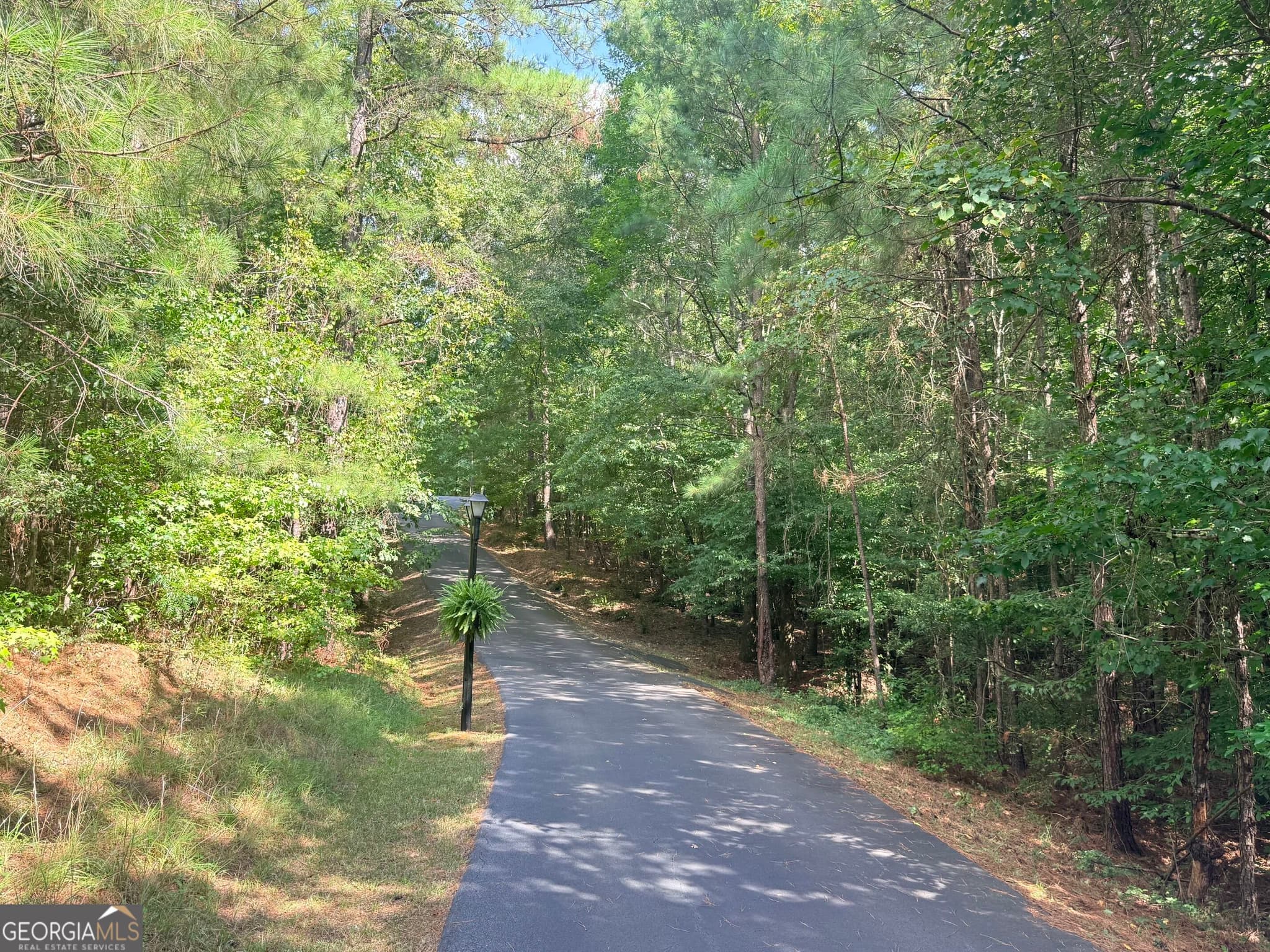 residential lot for sale at 7.725 AC Slalom Pass, Forsyth, GA 31029 — photo 10