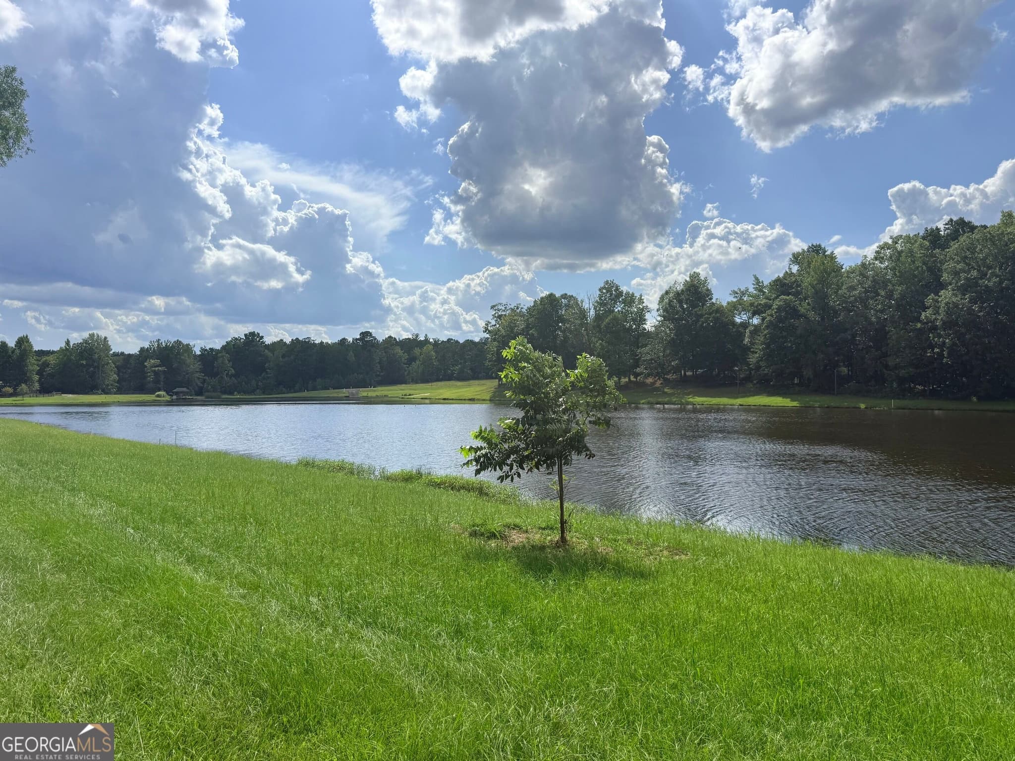 residential lot for sale at 7.725 AC Slalom Pass, Forsyth, GA 31029 — photo 8