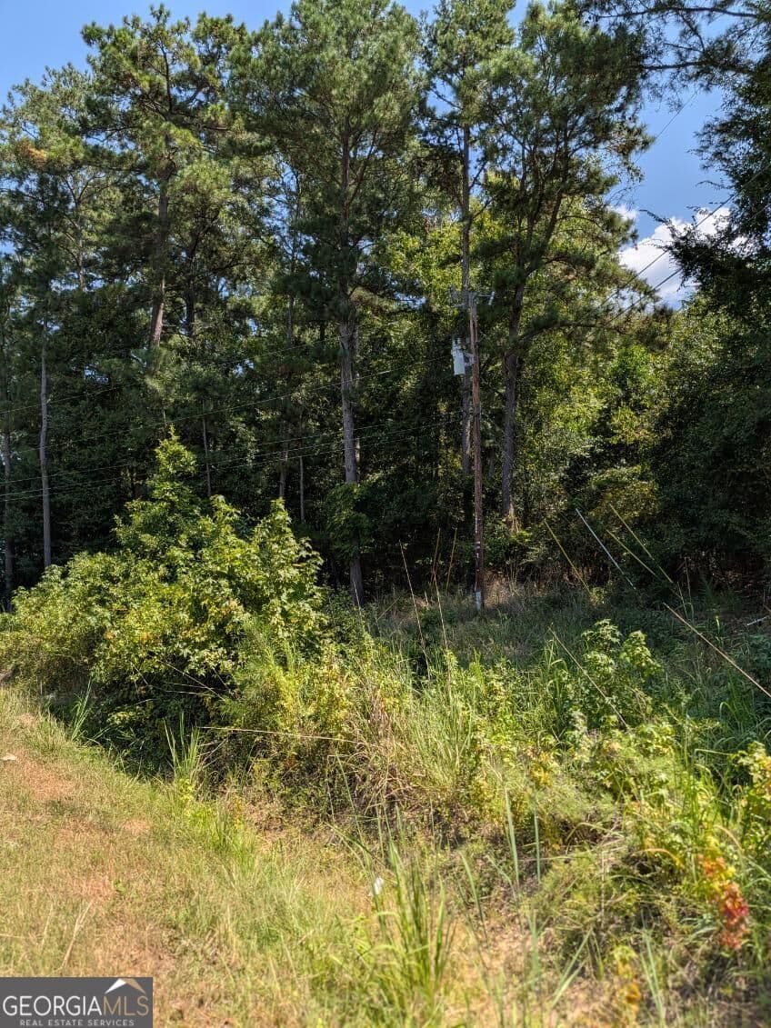 unimproved land for sale at 113 Stewart Avenue, Milledgeville, GA 31061 — photo 5