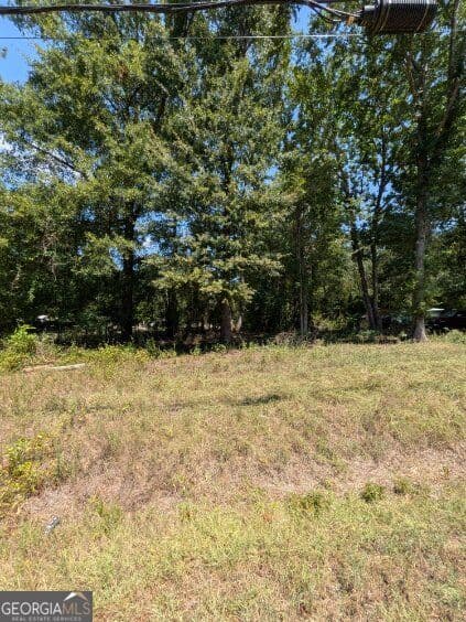 unimproved land for sale at 113 Stewart Avenue, Milledgeville, GA 31061 — photo 9