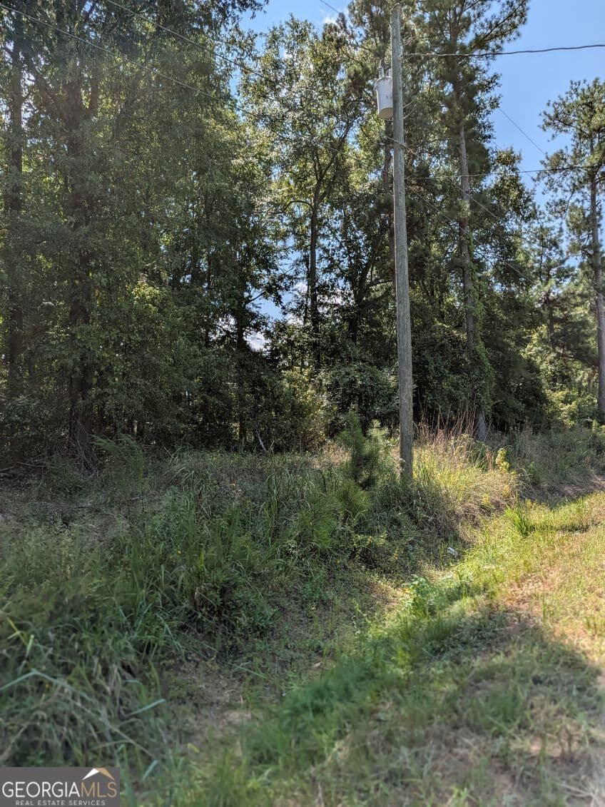 unimproved land for sale at 113 Stewart Avenue, Milledgeville, GA 31061 — photo 4