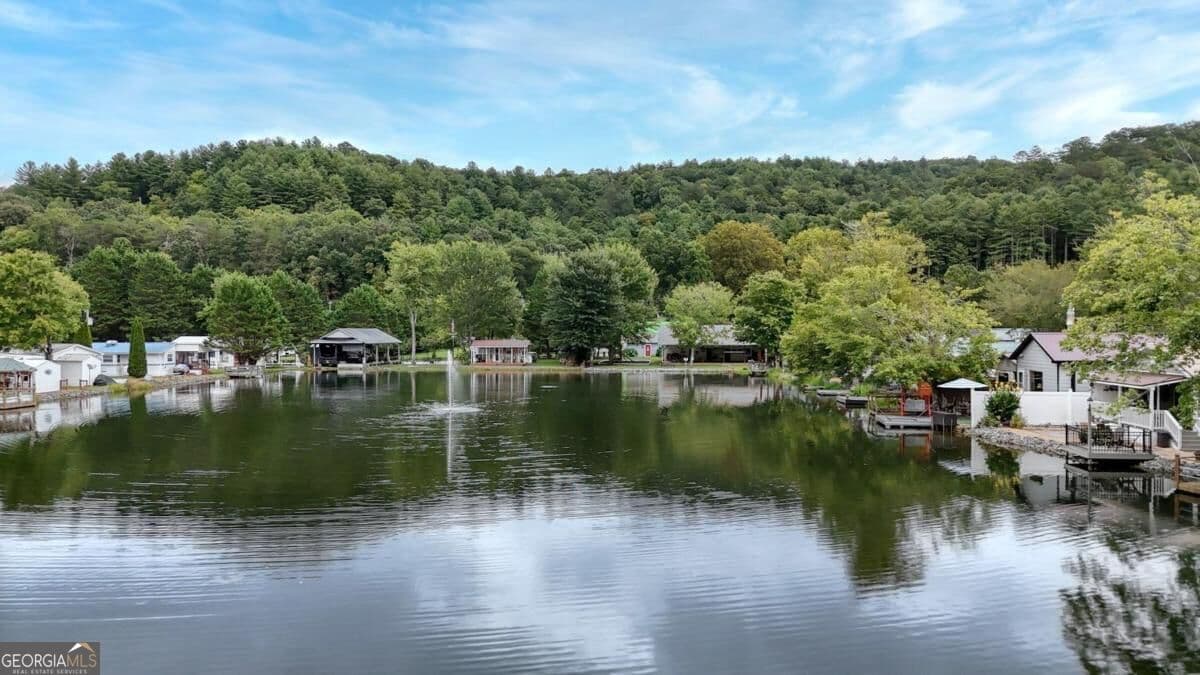 1 bedroom, 1 bathroom, 360 sq ft single family residence for sale at 4220 Riverbank Run Run 20, Hiawassee, GA 30546 — photo 6