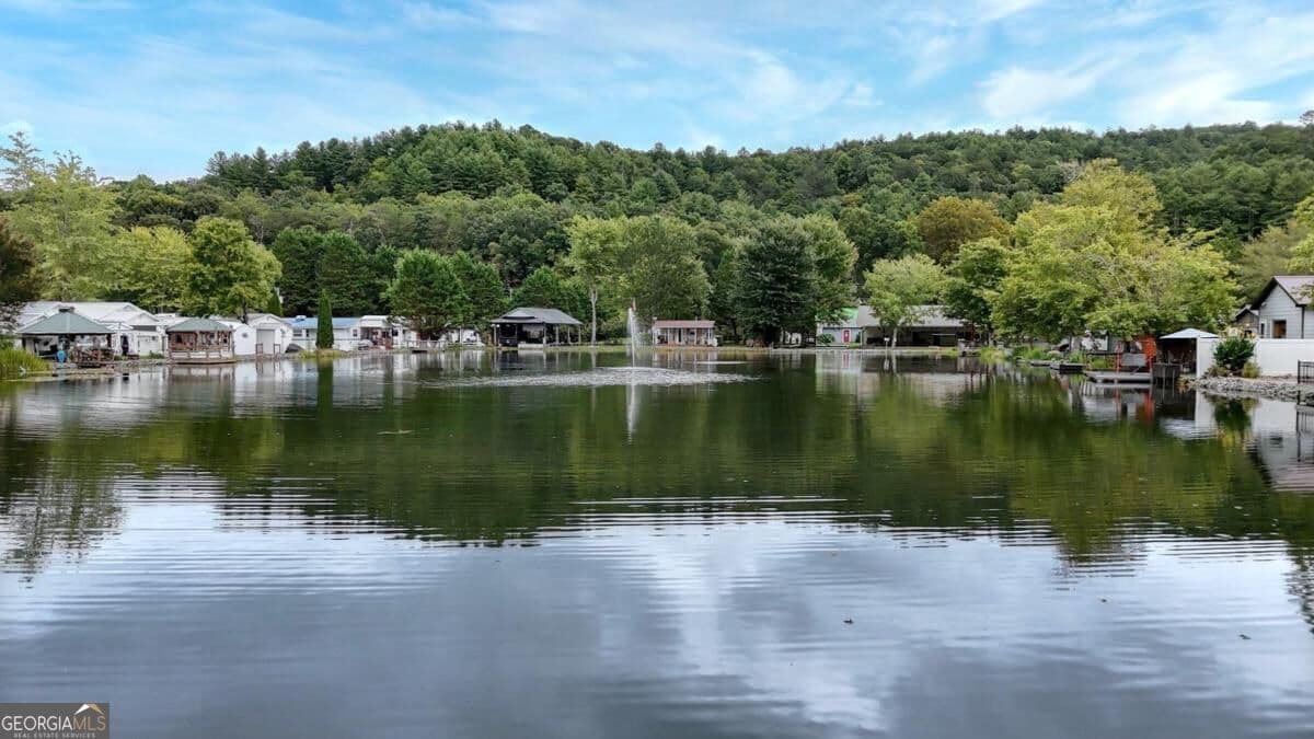 1 bedroom, 1 bathroom, 360 sq ft single family residence for sale at 4220 Riverbank Run Run 20, Hiawassee, GA 30546 — photo 10
